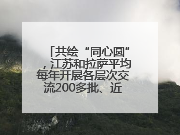 共绘“同心圆”，江苏和拉萨平均每年开展各层次交流200多批、近2000人次