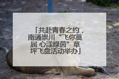 共赴青春之约，南通崇川“飞你莫属 心漾绿茵”草坪飞盘活动举办