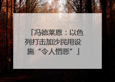 冯德莱恩：以色列打击加沙民用设施“令人憎恶”