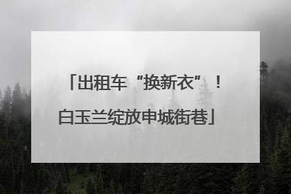 出租车“换新衣”！白玉兰绽放申城街巷