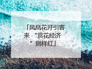 凤凰花开引客来 “赏花经济”别样红