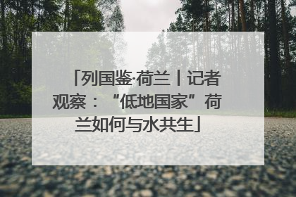 列国鉴·荷兰丨记者观察：“低地国家”荷兰如何与水共生