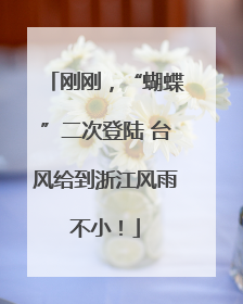 刚刚，“蝴蝶”二次登陆 台风给到浙江风雨不小！