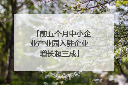 前五个月中小企业产业园入驻企业增长超三成
