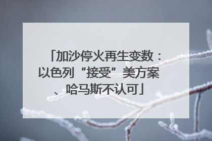 加沙停火再生变数：以色列“接受”美方案、哈马斯不认可
