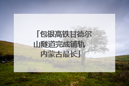 包银高铁甘德尔山隧道完成铺轨 内蒙古最长