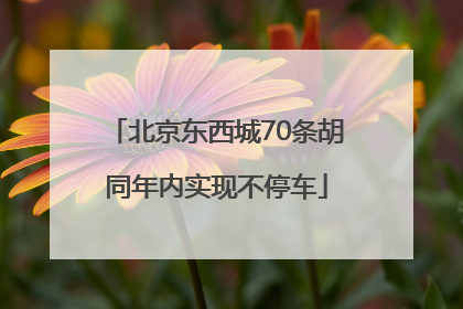 北京东西城70条胡同年内实现不停车