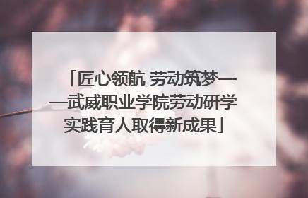 匠心领航 劳动筑梦——武威职业学院劳动研学实践育人取得新成果