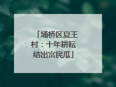 埇桥区夏王村：十年耕耘结出富民瓜