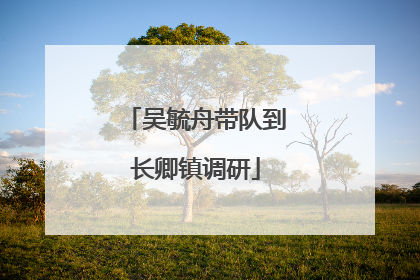 吴毓舟带队到长卿镇调研