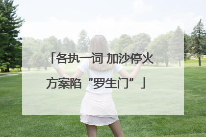 各执一词 加沙停火方案陷“罗生门”
