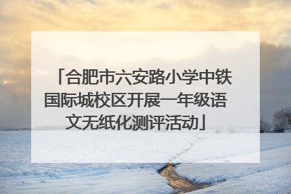 合肥市六安路小学中铁国际城校区开展一年级语文无纸化测评活动