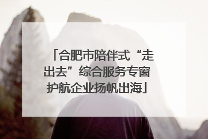 合肥市陪伴式“走出去”综合服务专窗护航企业扬帆出海