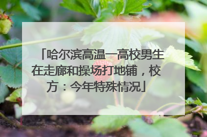 哈尔滨高温一高校男生在走廊和操场打地铺，校方：今年特殊情况