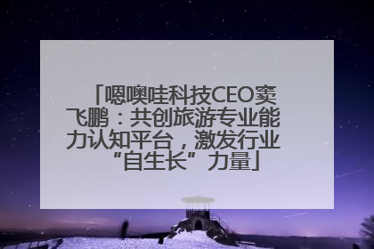 嗯噢哇科技CEO窦飞鹏：共创旅游专业能力认知平台，激发行业“自生长”力量