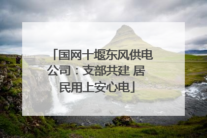 国网十堰东风供电公司：支部共建 居民用上安心电