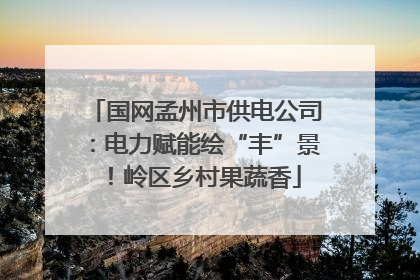 国网孟州市供电公司：电力赋能绘“丰”景！岭区乡村果蔬香