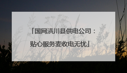 国网潢川县供电公司：贴心服务麦收电无忧