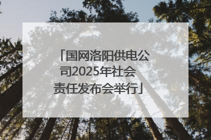 国网洛阳供电公司2025年社会责任发布会举行