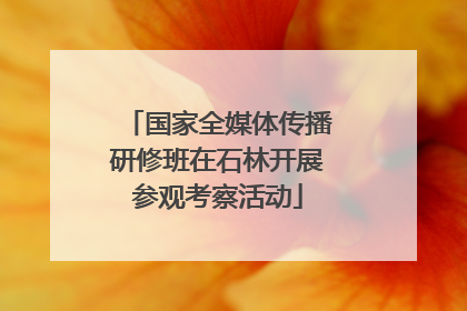 国家全媒体传播研修班在石林开展参观考察活动