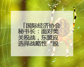 国际经济协会秘书长：面对美关税战，东盟应选择战略性“脱钩”