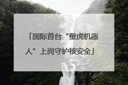 国际首台“壁虎机器人”上岗守护核安全