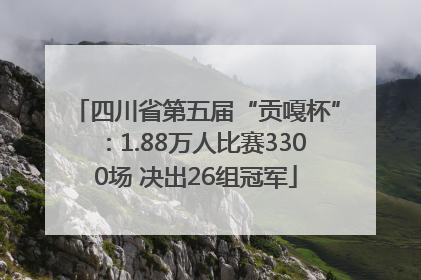 四川省第五届“贡嘎杯”：1.88万人比赛3300场 决出26组冠军