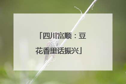 四川富顺：豆花香里话振兴