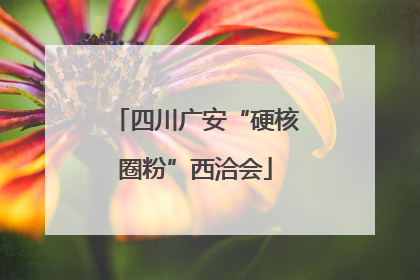 四川广安“硬核圈粉”西洽会