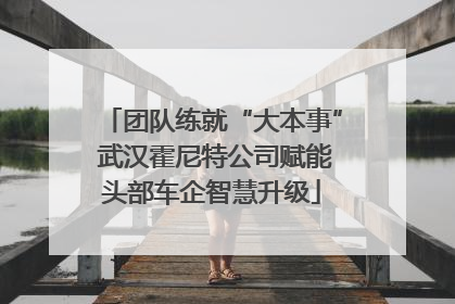 团队练就“大本事” 武汉霍尼特公司赋能头部车企智慧升级
