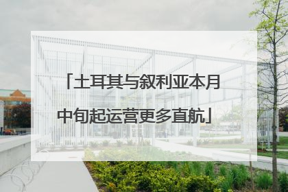 土耳其与叙利亚本月中旬起运营更多直航