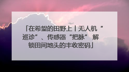在希望的田野上丨无人机“巡诊”、传感器“把脉” 解锁田间地头的丰收密码