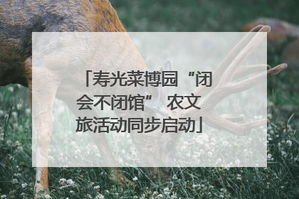 寿光菜博园“闭会不闭馆” 农文旅活动同步启动