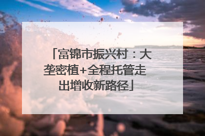 富锦市振兴村：大垄密植+全程托管走出增收新路径