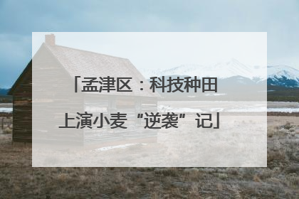 孟津区：科技种田 上演小麦“逆袭”记