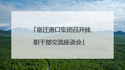 宿迁港口集团召开挂职干部交流座谈会