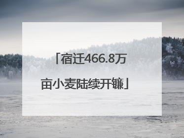 宿迁466.8万亩小麦陆续开镰