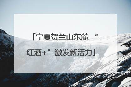 宁夏贺兰山东麓 “红酒+”激发新活力