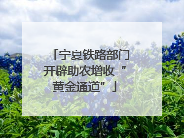 宁夏铁路部门开辟助农增收“黄金通道”