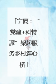 宁夏：“党建+科特派”架起服务乡村连心桥