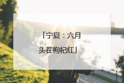 宁夏：六月头茬枸杞红
