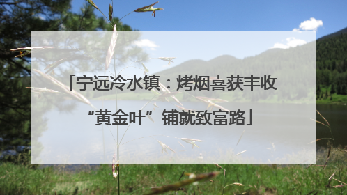 宁远冷水镇：烤烟喜获丰收 “黄金叶”铺就致富路