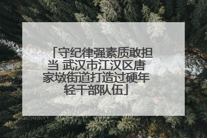 守纪律强素质敢担当 武汉市江汉区唐家墩街道打造过硬年轻干部队伍
