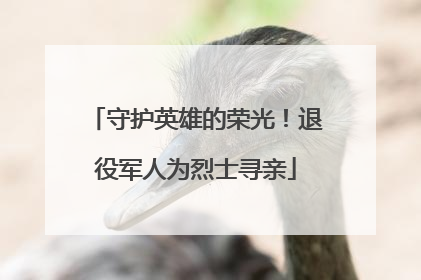 守护英雄的荣光！退役军人为烈士寻亲