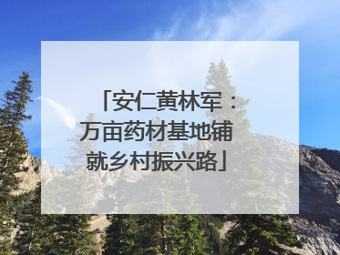 安仁黄林军：万亩药材基地铺就乡村振兴路