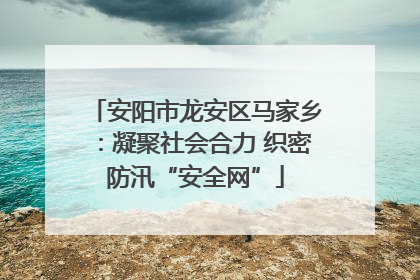 安阳市龙安区马家乡：凝聚社会合力 织密防汛“安全网”