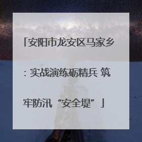 安阳市龙安区马家乡：实战演练砺精兵 筑牢防汛“安全堤”