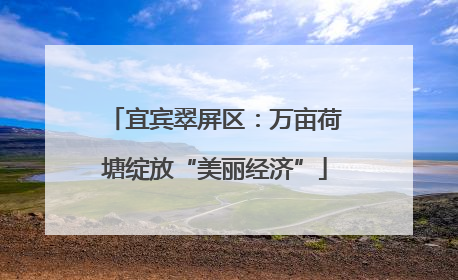 宜宾翠屏区：万亩荷塘绽放“美丽经济”