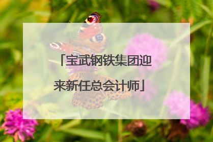 宝武钢铁集团迎来新任总会计师