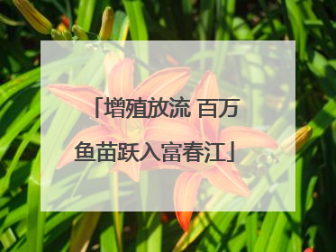 增殖放流 百万鱼苗跃入富春江